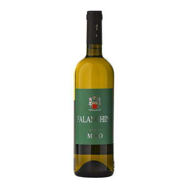 VINO FALANGHINA MOIO CL.75*