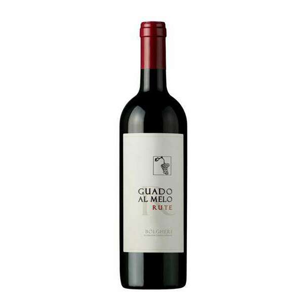 VINO BOLGHERI GUADO AL MELO RUTE