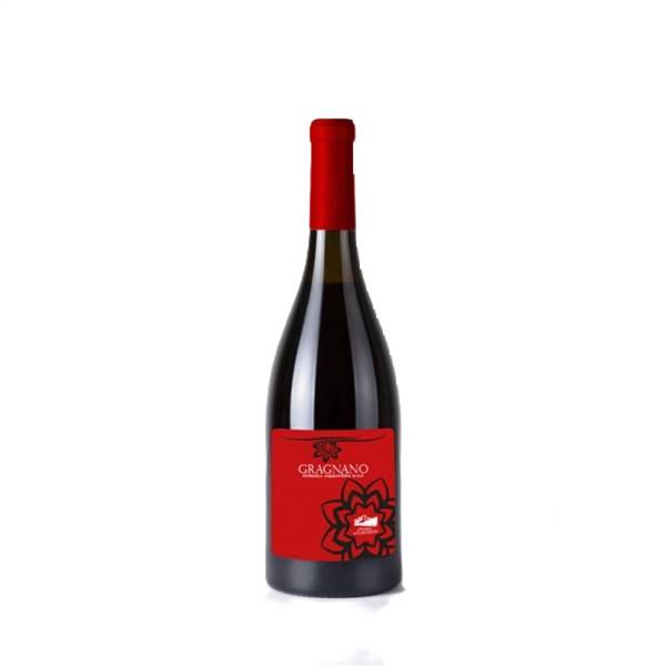VINO GRAGNANO VINERIA DEL CONVENTO