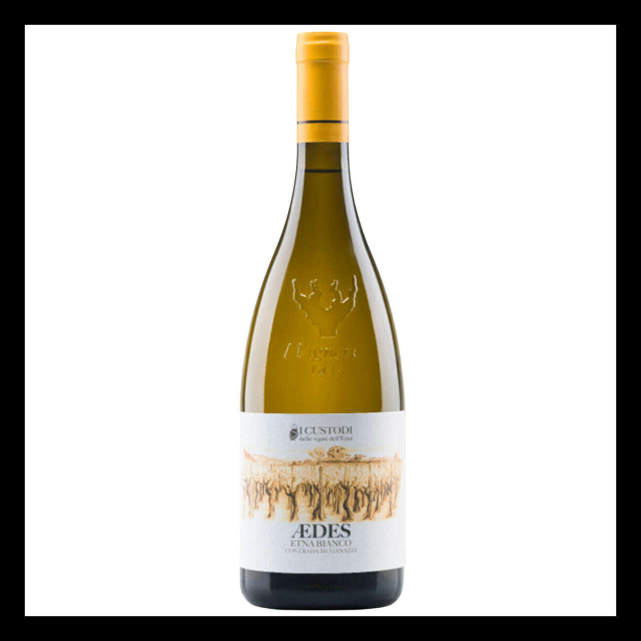 Vino Etna Bianco I Custodi Aedes Cl.75