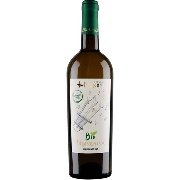 VINO FALANGHINA IGT BIO PAGANO CL.75