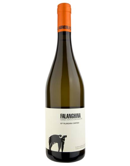 VINO FALANGHINA SAN SALVATORE *