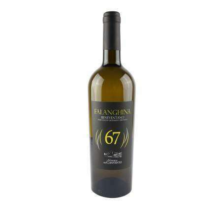 VINO FALANGHINA IGP CONVENTO
