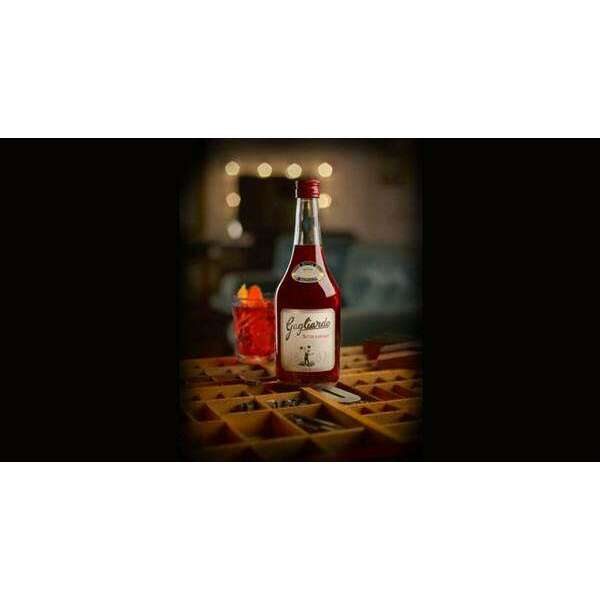 LIQ.BITTER RADICALE GAGLIARDO CL.70