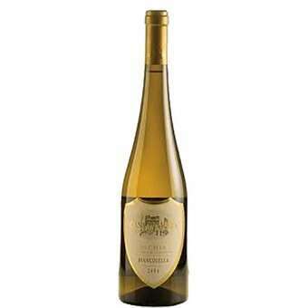 Vino Biancolella Casa D'ambra Cl.75*