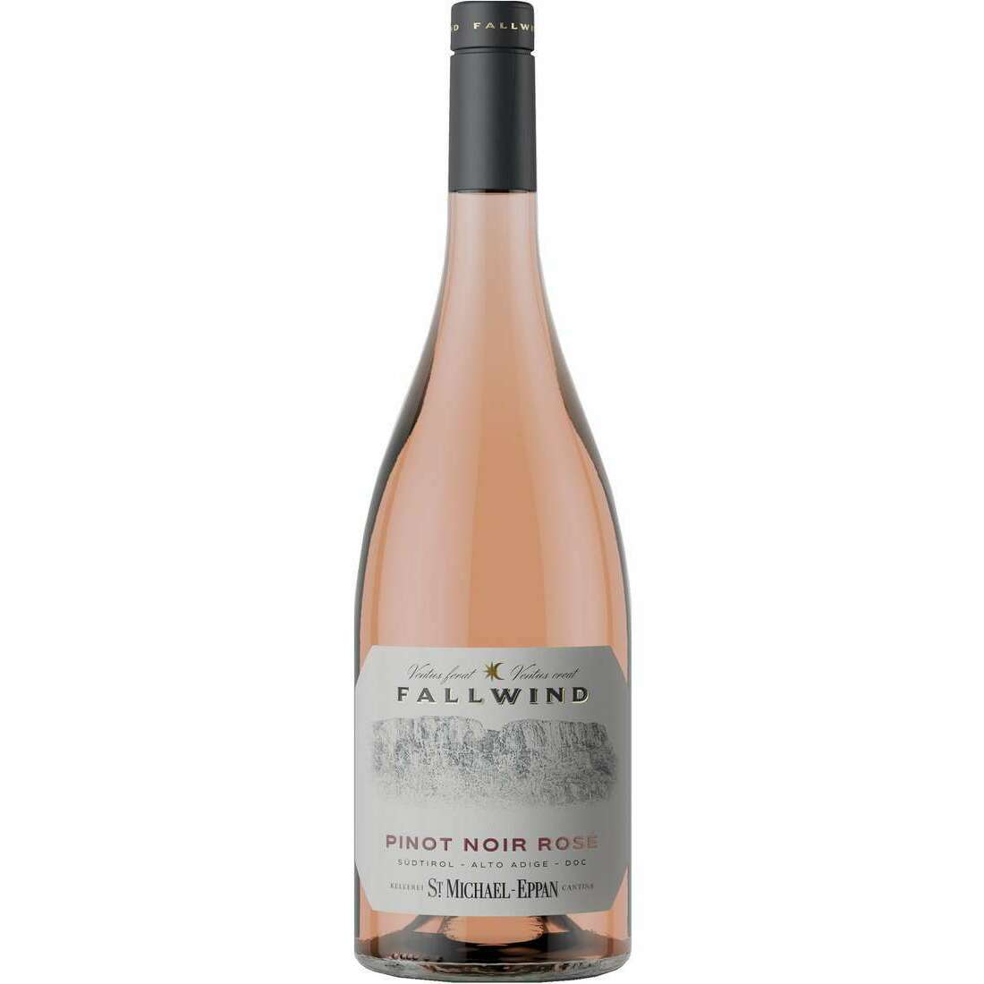 Vino Pinot Nero Rosè Fallwind Cl.75