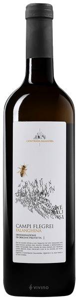 VINO FALANGHINA CONTRADA SALANDRA CL.75