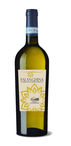 VINO FALANGHINA DOC VINERIA DEL CONVENTO