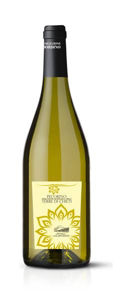 VINO PECORINO VINERIA DEL CONVENTO IGT