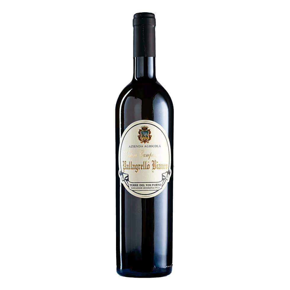 Vino Pallagrello Bianco Vestini Cl.75