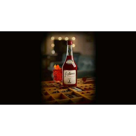 LIQ.BITTER RADICALE GAGLIARDO CL.70
