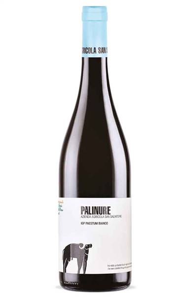 VINO PALINURE IGP SAN SALVATORE *