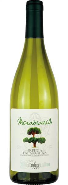 VINO FALANGHINA MORABIANCA MASTROB.CL.75