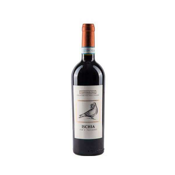 VINO PER E PALUMMO TOMMASONE CL.75
