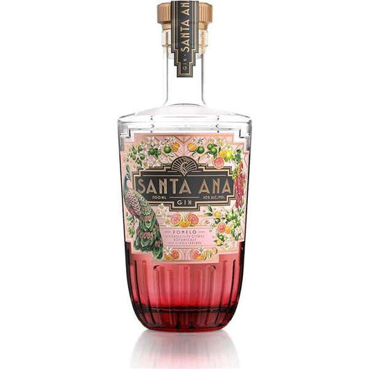 GIN SANTA ANA POMELO CL.70