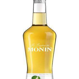 LIQ.MONIN APRICOT BRANDY CL.70