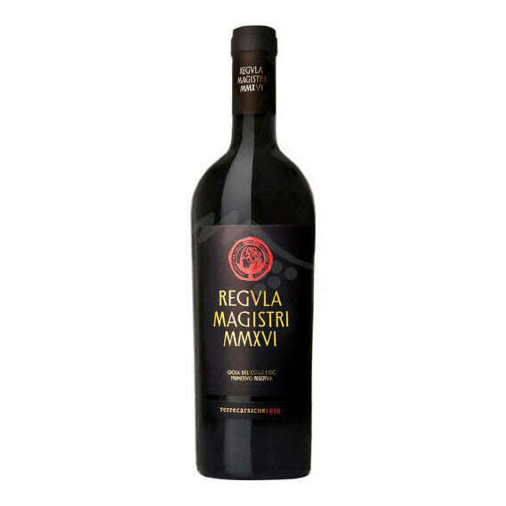 Vino Primitivo Regular Magistri Cl.75